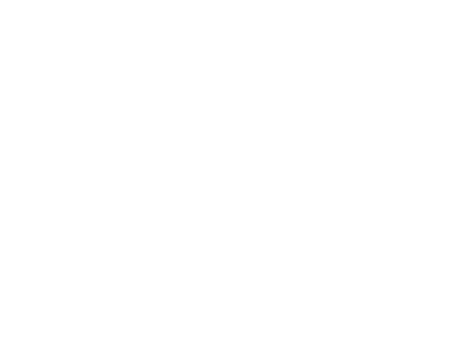 Google Wallet logo